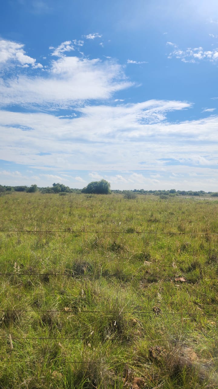Commercial Property for Sale in Lichtenburg Rural North West
